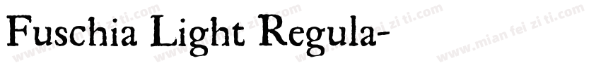 Fuschia Light Regula字体转换